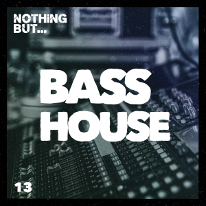 NBBH13