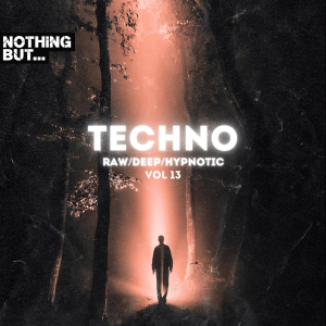 NBTRDH13