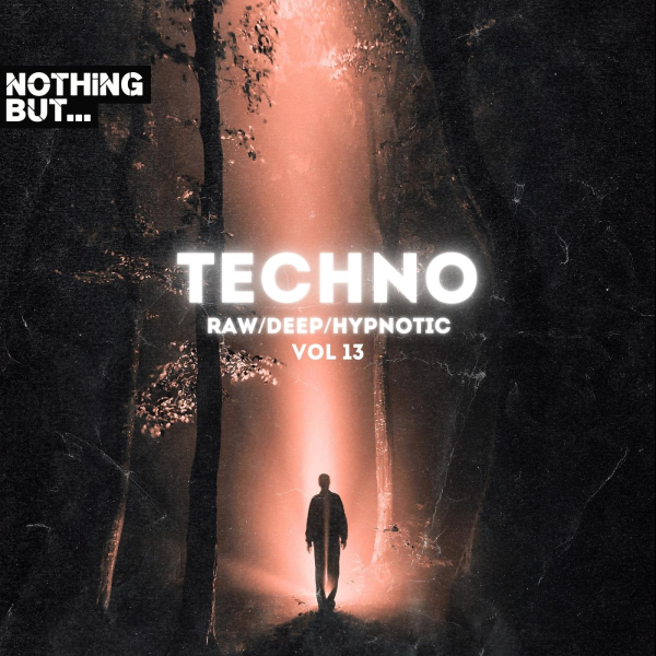 NBTRDH13