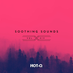 HOTQSS019