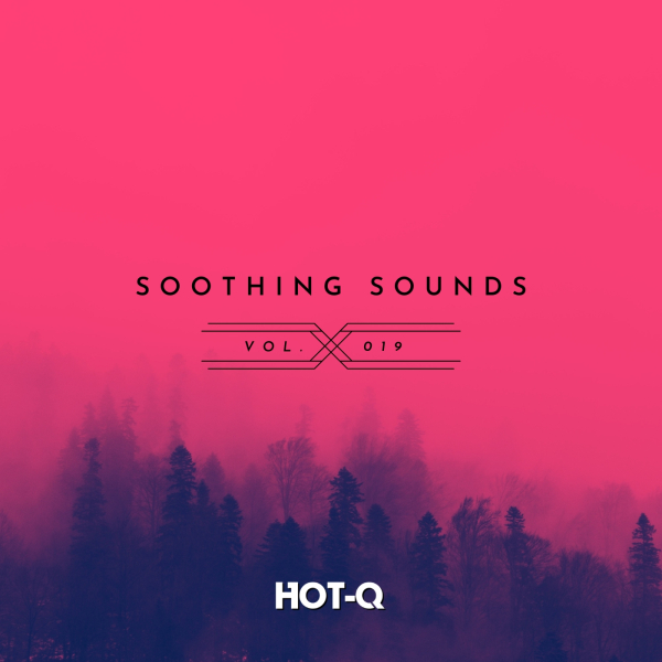 HOTQSS019