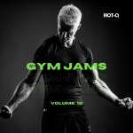 HOTQGJ018