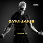 HOTQGJ019