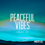 HOTQPV020A