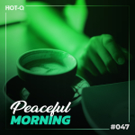 HOTQPCFM047