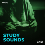 HOTQSTS055
