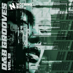 NBDNBG13B