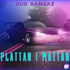 PRREC490 : Duo Gamerz - Plattan i mattan