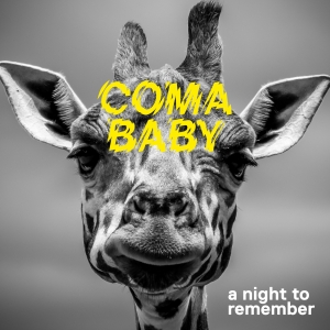 WOOD026 : Coma Baby - A Night To Remember