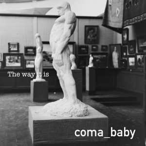 WOOD050 : Coma Baby - The Way It Is