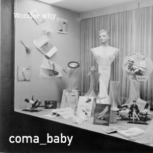WOOD055 : Coma Baby - Wonder Why