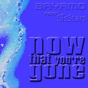 ds009 : Bayamo ft Sisstars - Now That Youre Gone