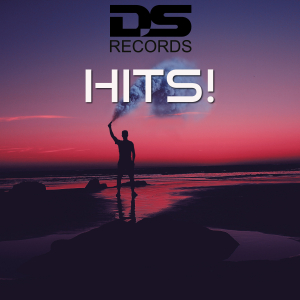 DS012 : Various Artists - DS Records hits!