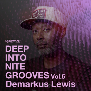 Deep Into Nite Grooves Vol. 5